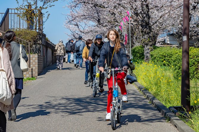 2.5 Hour-Guided Cycle Tour in the Central Tokyo