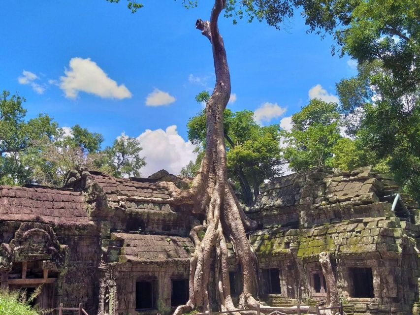 2 Day Private Guided Tour in Angkor Temples, Cambodia - Tour Highlights