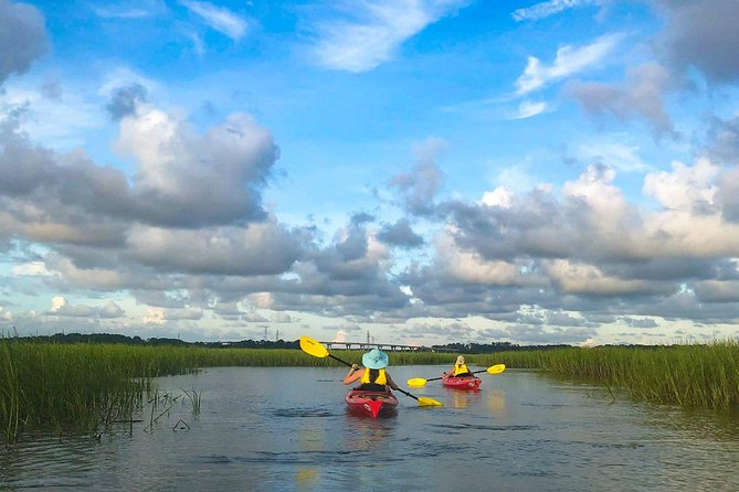 2-Hour Hilton Head Guided Kayak Nature Tour - Tour Details and Pricing