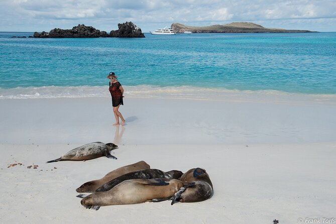 4 Day Galapagos Islands Cruise on Board the Seaman Journey