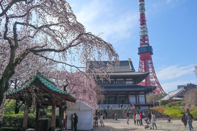 5-Hour Tokyo & Edo Hidden Gem Bike Tour With Lunch - Tour Details