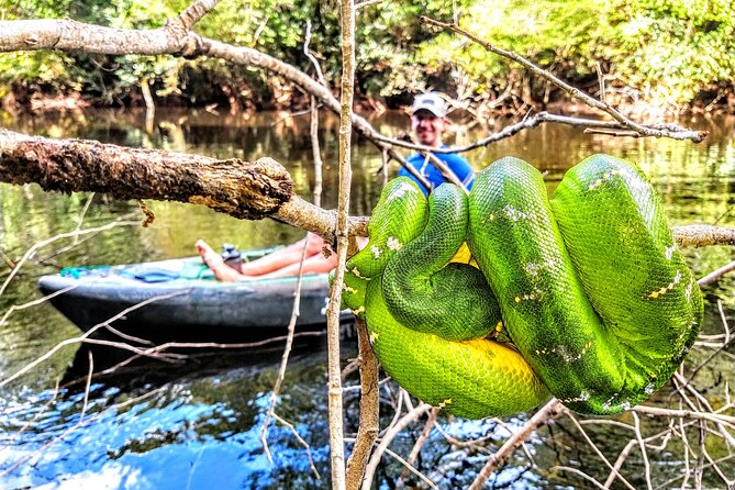6-Day Guided Kayak Expedition in the Amazon