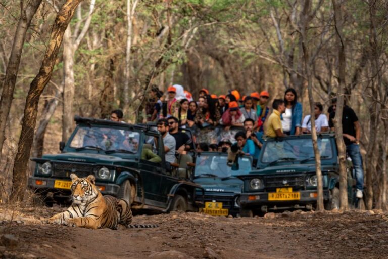 8 – Days Golden Triangle Tour With Ranthambore Tiger Safari