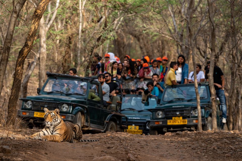 8 - Days Golden Triangle Tour With Ranthambore Tiger Safari - Tour Duration and Pickup Information