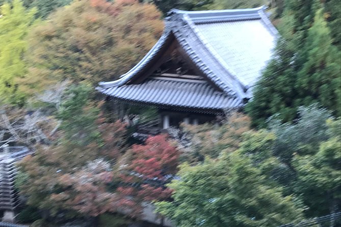 A Chauffeur Driven Tour: Hiroshima & Miyajima or Temple Gardens