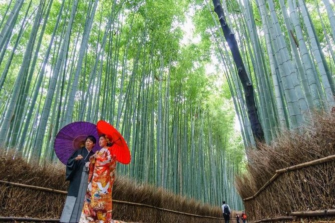 Arashiyama Bamboo Grove Day Trip From Kyoto With a Local: Private & Personalized - Tour Highlights