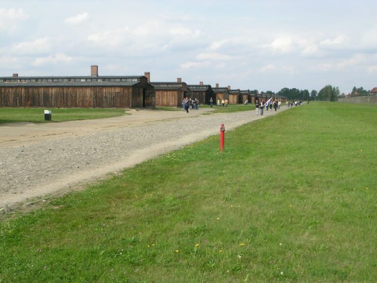 Auschwitz-Birkenau: Memorial Entry Ticket and Guided Tour