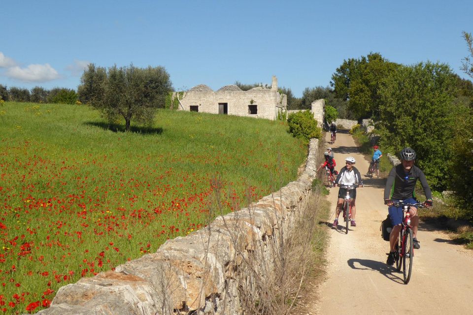 Bike Tour: Olive Oil Tasting & Dune Costiere Park Picnic - Activity Details