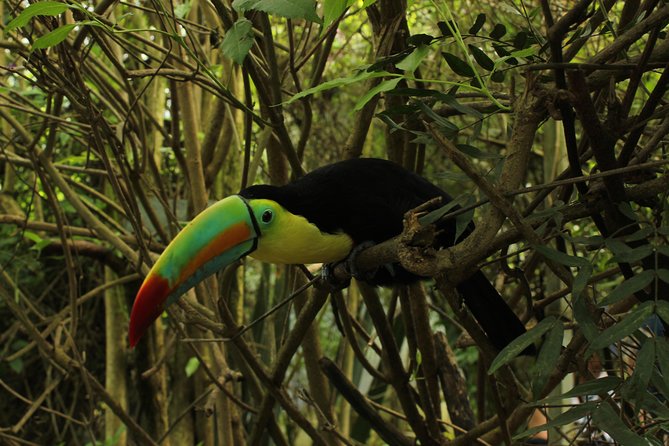 Bogota BioPark Reserve Private Guided Tour Including Lunch (Mar )