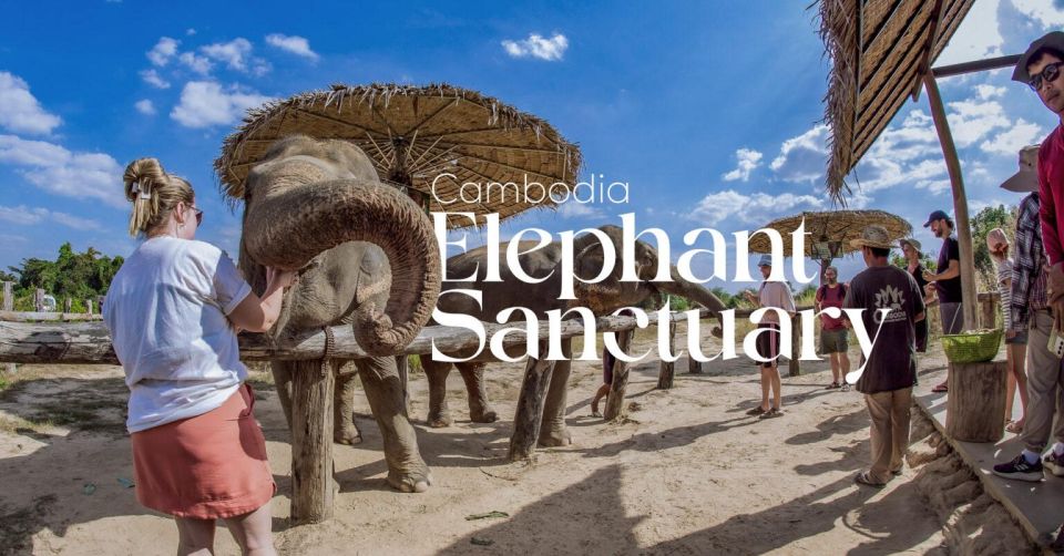 Cambodia Elephant Sanctuary and Banteay Srey Temple Tour - Booking Details