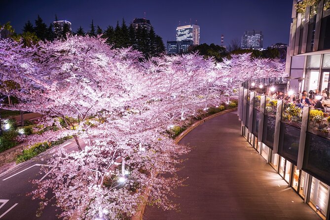 Cherry Blossom Private Tour - Inclusions and Policies