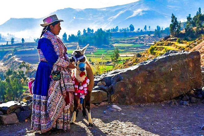Colca Full Day - Itinerary Highlights