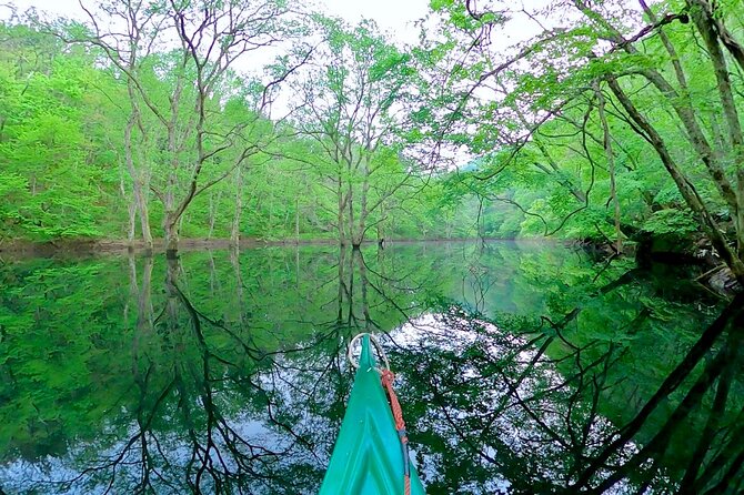 Dive Naturally! Melting Kinshu Lake Submerged Forest Canoe Tour