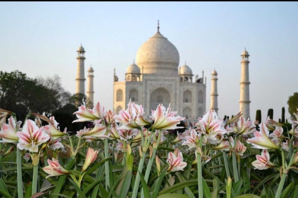 From Banglore: Private Guided Tajmahal Day Trip With Lunch - Tour Details and Booking Information