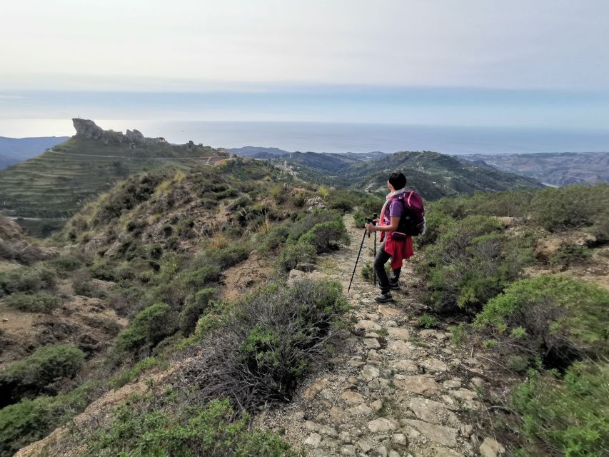 From Bova: Private Trek to Aspromonte National Park - Booking Details