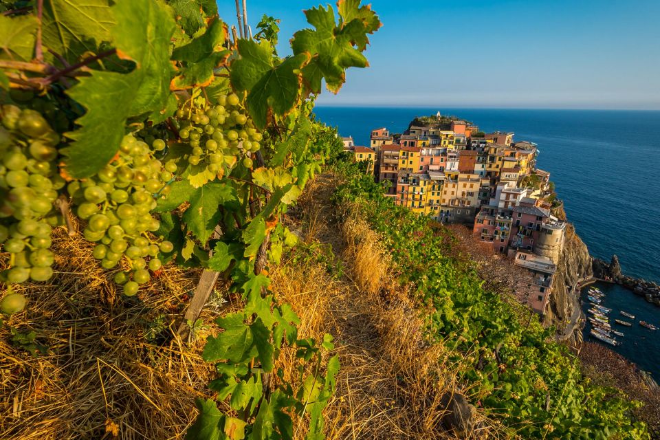 From Florence: Cinque Terre Small Group Tour With Lunch - Tour Details