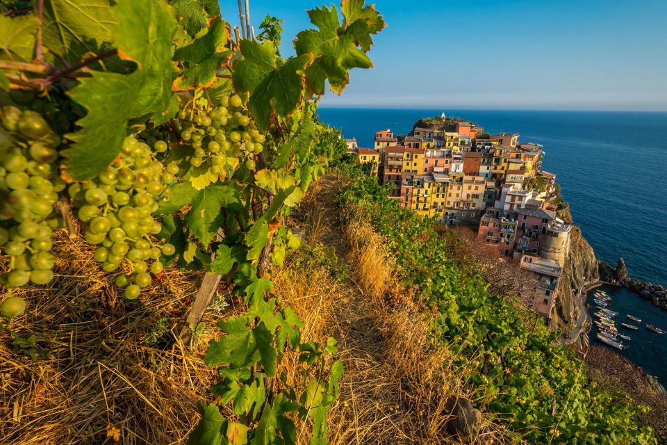 From Florence: Cinque Terre Small Group Tour With Lunch