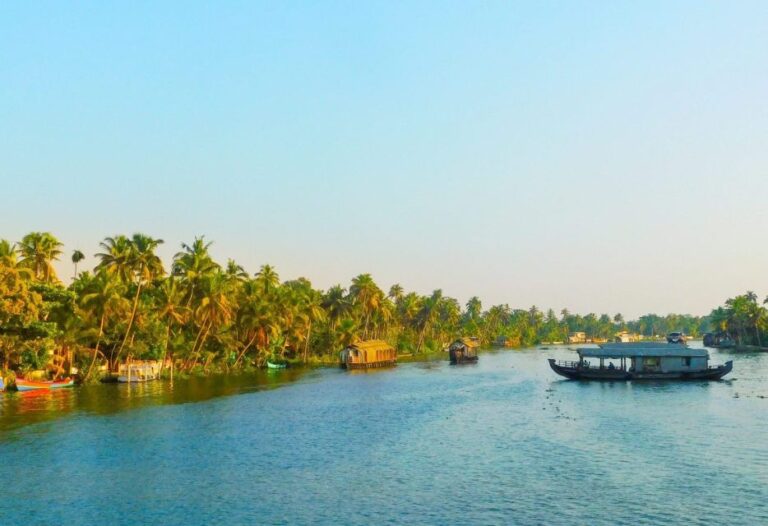 From Kochi: 7-Day Kerala Tour Package With Accommodation