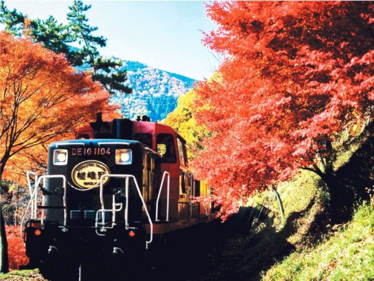 From Kyoto: Sagano Train Ride and Guided Kyoto Day Tour