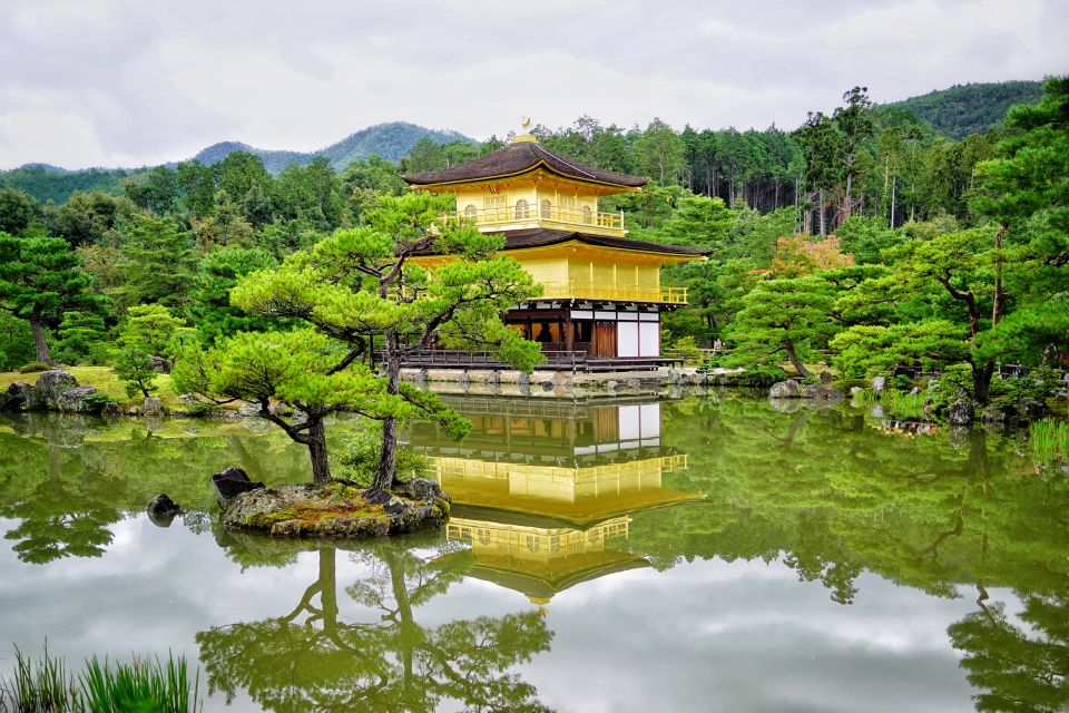 From Osaka or Kyoto: Kyoto & Nara 1 Day Bus Tour