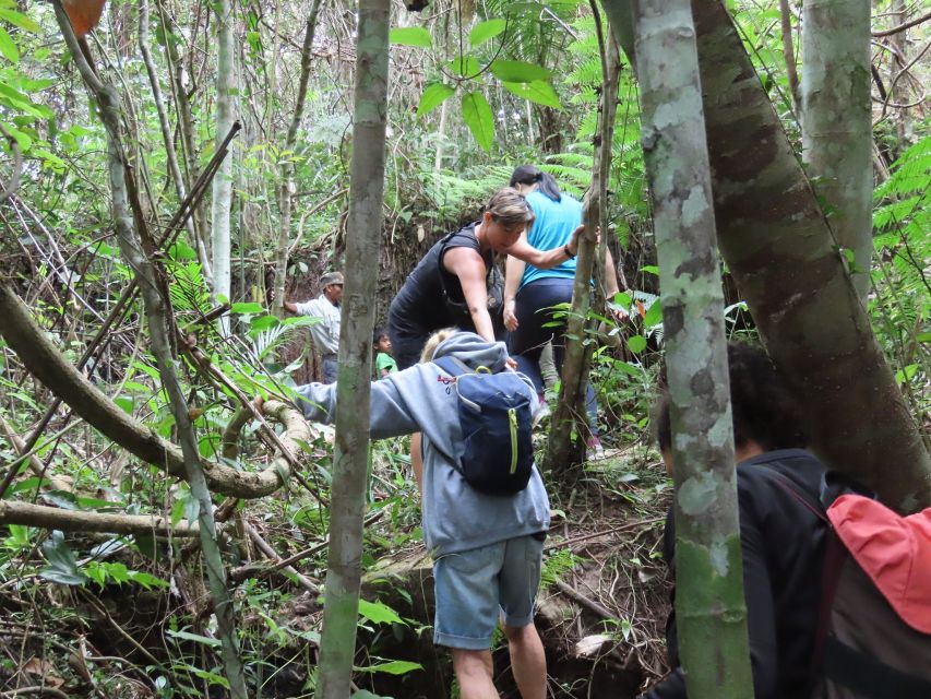 From Siem Reap: Phnom Kulen National Park Trekking Tour