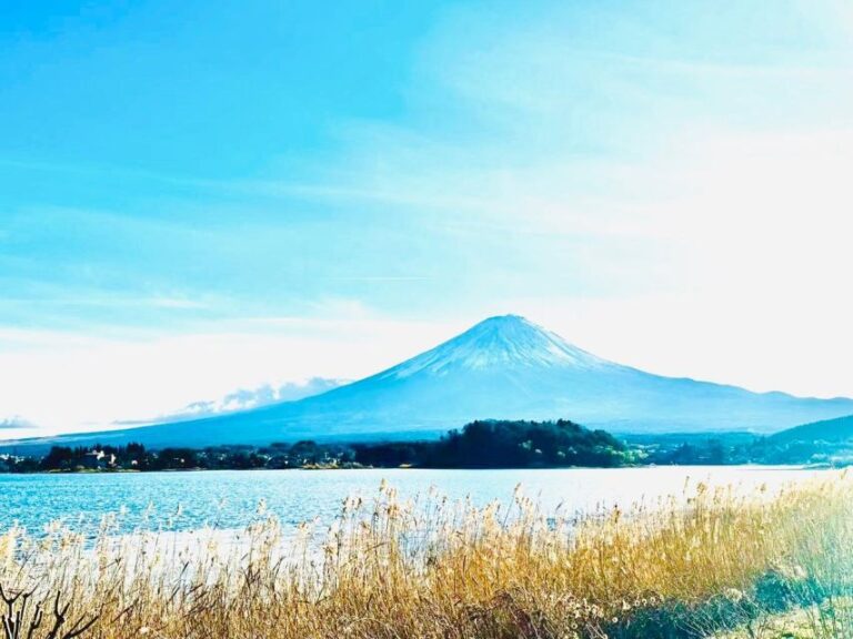 From Tokyo: Guided Day Trip to Kawaguchi Lake and Mt. Fuji
