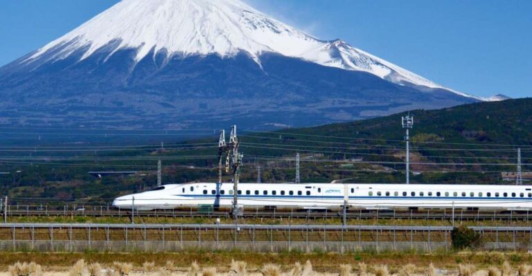 From Tokyo: Mt. Fuji & Hakone Tour W/ Return by Bullet Train