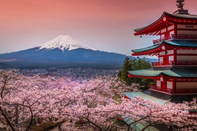 Fuji and Lake Kawaguchi Tour - Tour Pricing and Duration