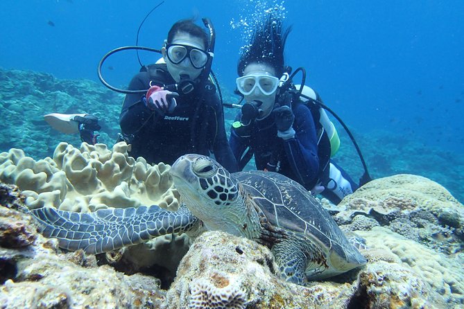 Full Day "Experience Diving" Trip at Kerama Islands - Diving Options and Pricing