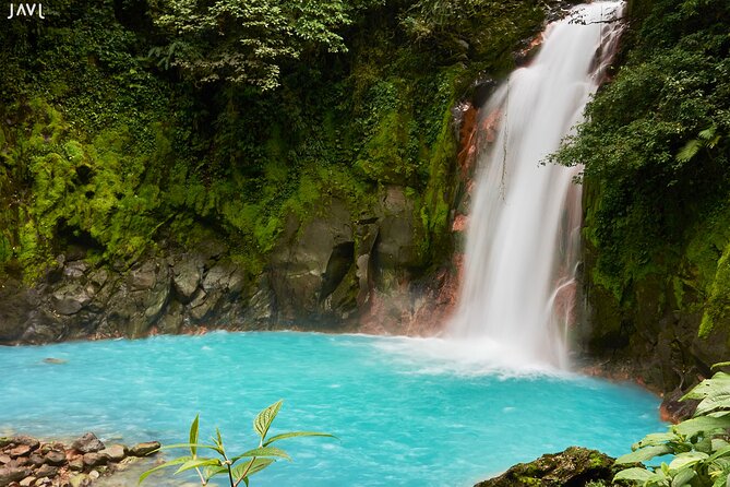 Full-Day Sloth and Rio Celeste Waterfall/Private SUVNature Guide - Tour Overview