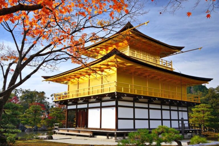 Golden Pavilion and Nijo Castle Half Day Walking Tour