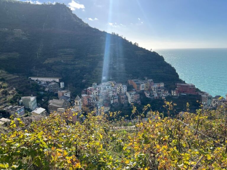 Guided Cinque Terre Hiking Day From Florence