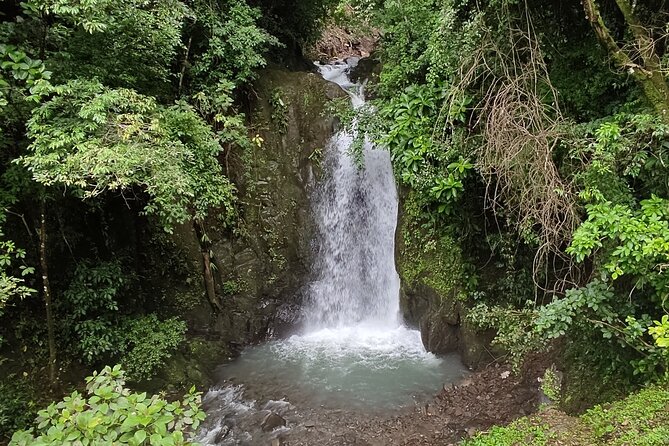 Guided Tour of Filipina Waterfalls in Sora From Panama City