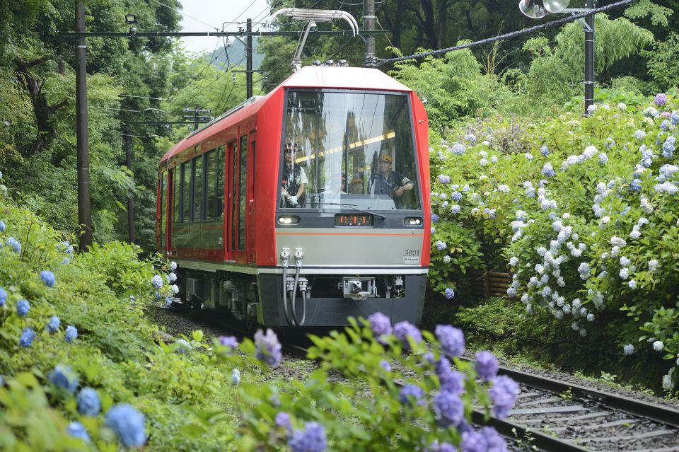 Hakone: Train Pass With Unlimited Rides & Activity Discounts - Activity Details