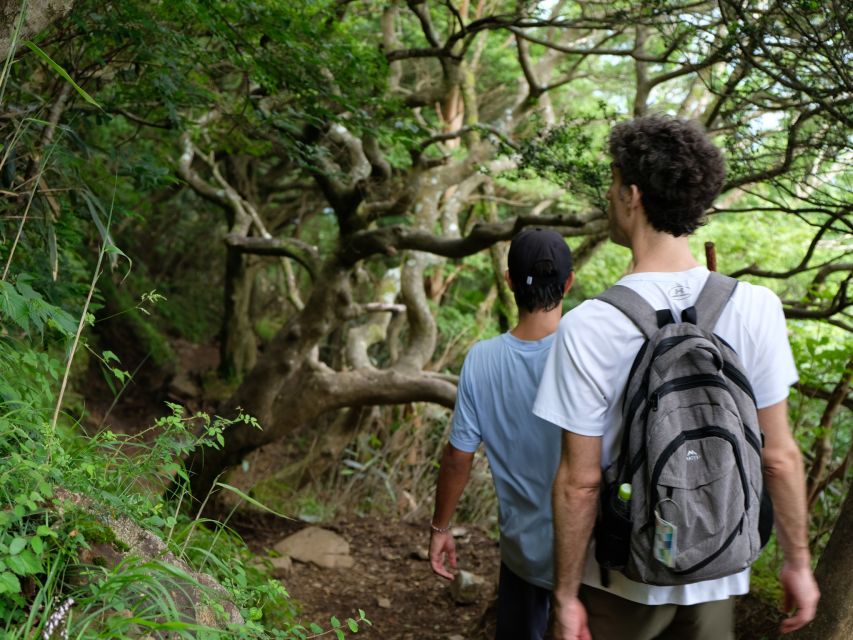 Hakone: Traverse the Hakone Caldera and Enjoy Onsen