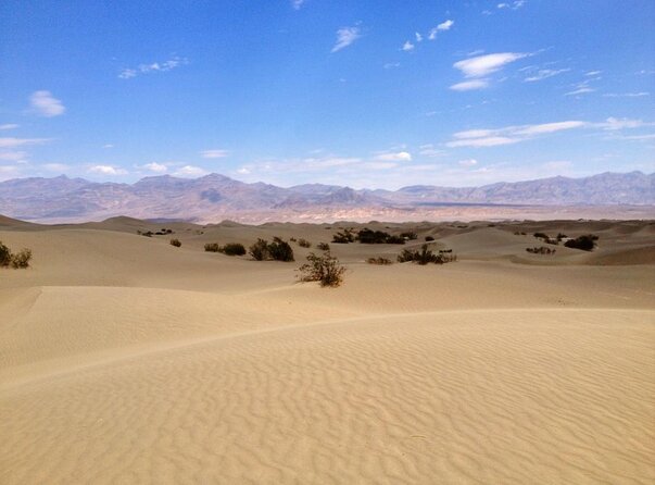 Half-Day Mojave Desert ATV Tour From Las Vegas