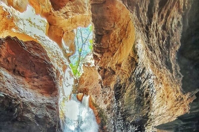 Hike to Rincon De Vieja National Park and La Leona Waterfall - Tour Highlights