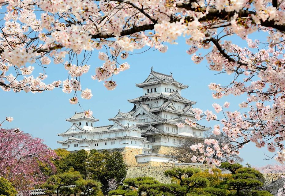 Himeji: Private Customized Tour With Licensed Guide - Booking Details