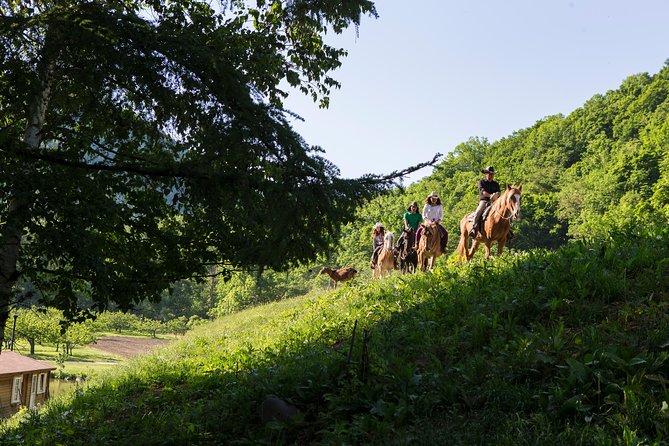 Horseback-Riding in a Country Side in Sapporo – Private Transfer Is Included