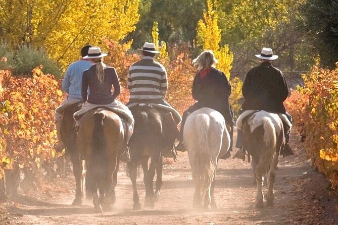 Horseback Riding in Mendoza Through the Vineyards and River With Optional Asado. - Participant Information and Restrictions