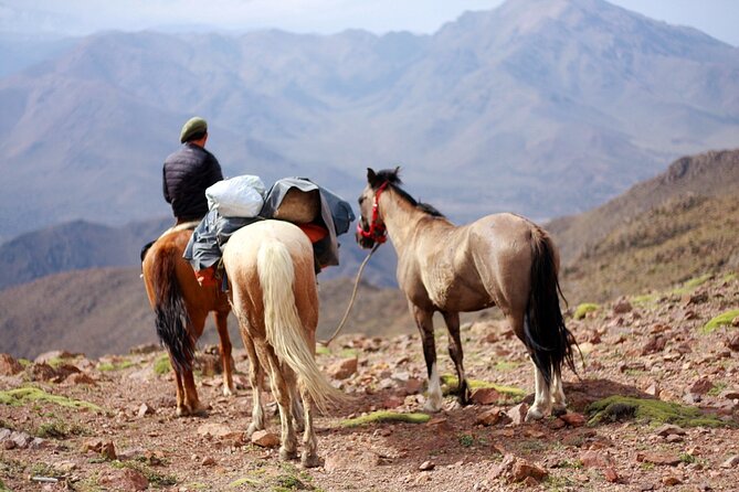 Horseback Riding to the Heart of the Andes - Trail Difficulty Levels and Safety Measures