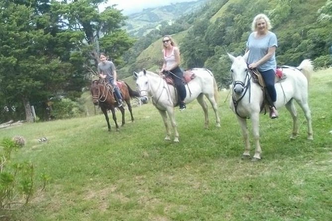 Horseback Riding Tour in Monteverde