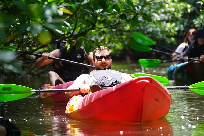 [Iriomote]SUP/Canoe Tour at Mangrove ForestSplash Canyoning!! - Tour Highlights