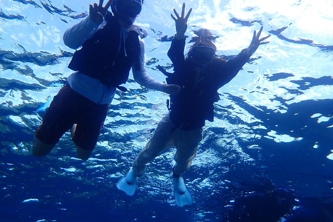 [Ishigaki] Phantom Island Snorkeling, Taketomi Island Sightseeing - Tour Highlights