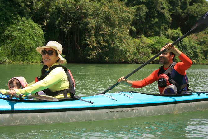 Kayak Mangroves or Coral Reef: Private Tour in North Okinawa - Tour Highlights for Exploration