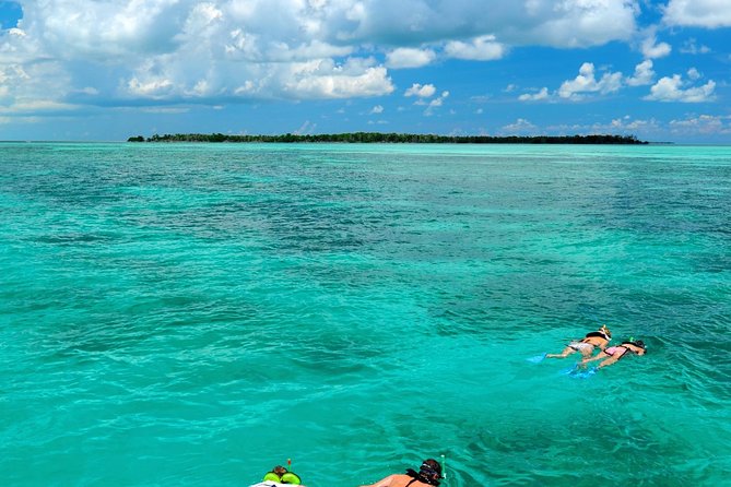 Key West Dolphin Watch and Snorkel Cruise - Tour Details