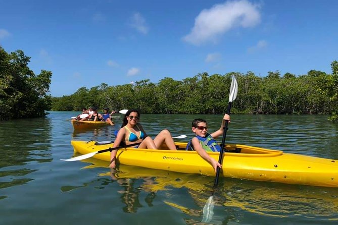 Key West Mangrove Kayak Eco Tour