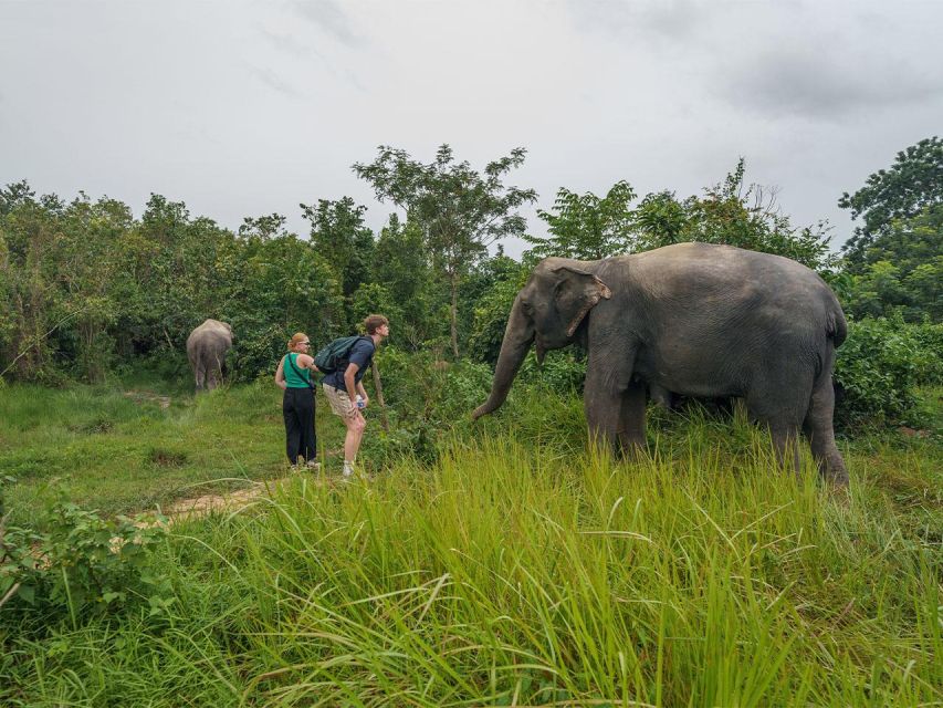 Kulen Elephant Forest Tour With Hotel Pick-Up & Drop off - Booking Information
