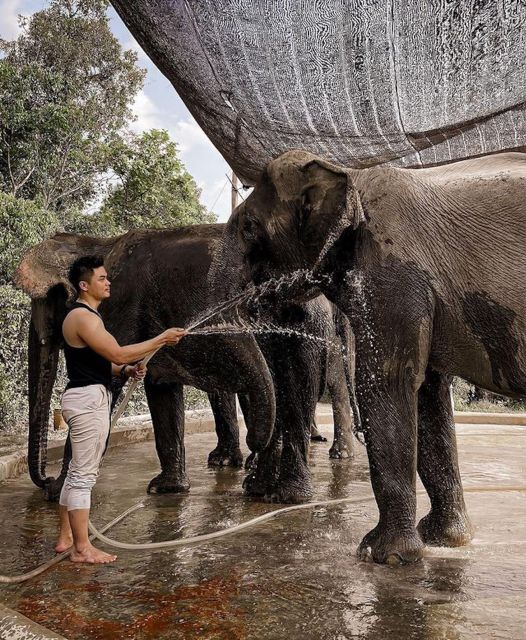 Kulen Elephant Siem Reap Forest in Small Group Tour - Tour Highlights