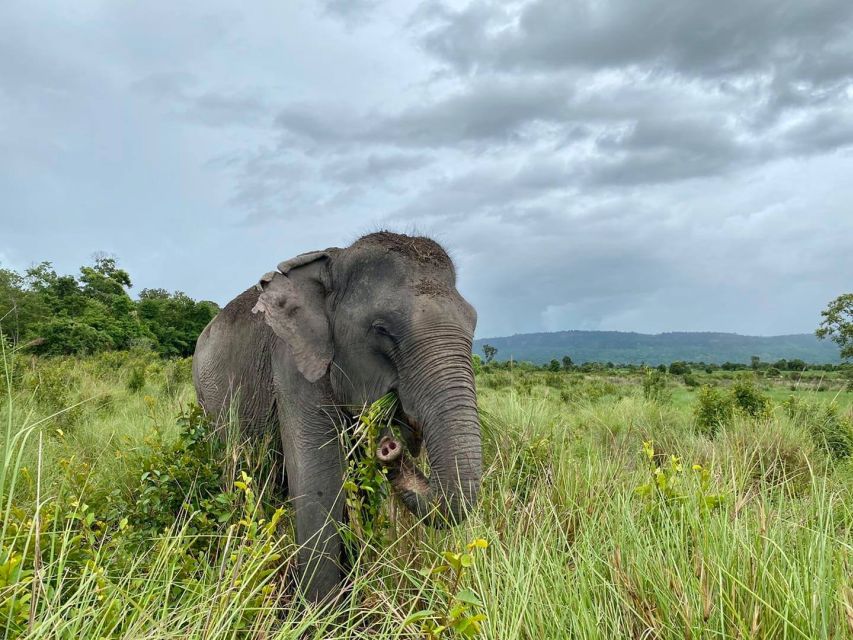 Kulen Mountain Day Trip With Picnic & Kulen Elephant Forest - Tour Departure Details